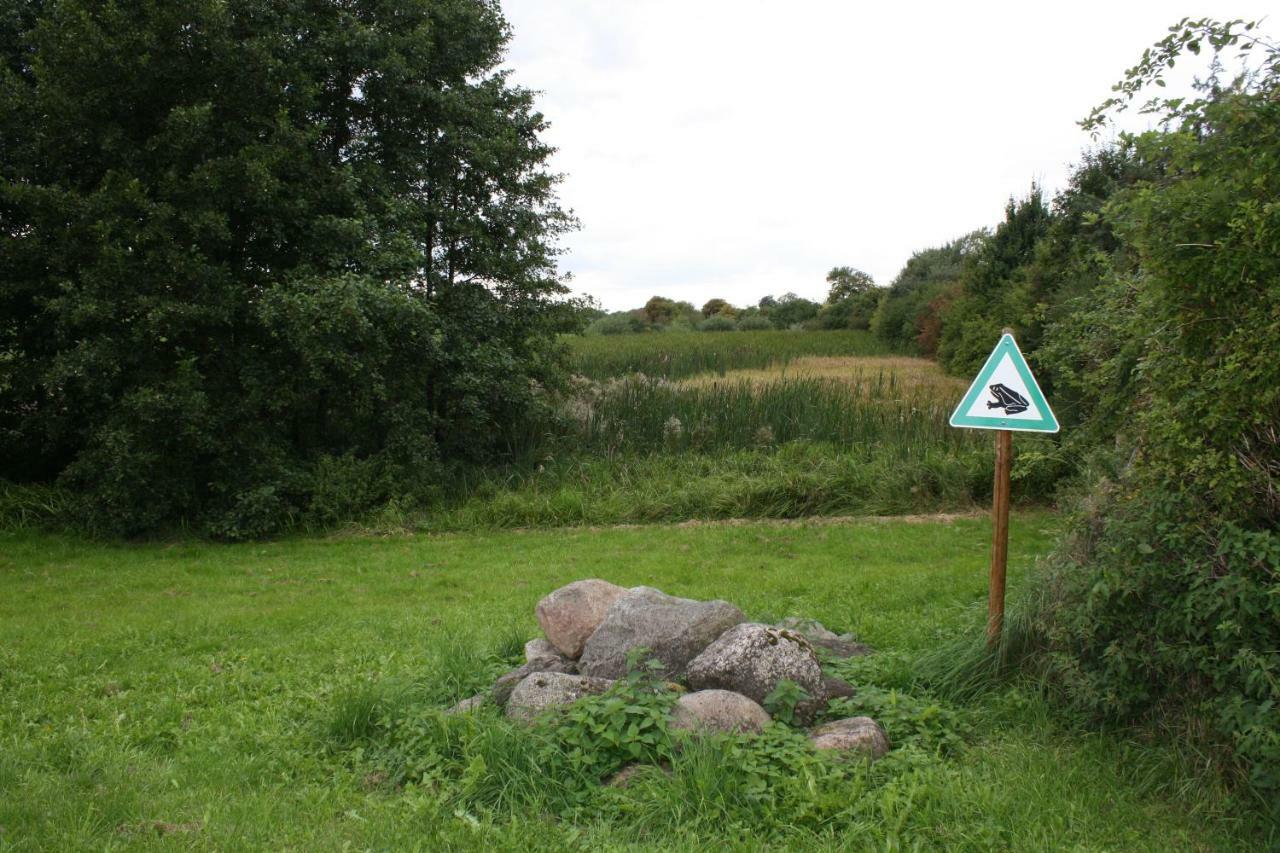 Neugrimnitz Landpension Zum Schweizerberg מראה חיצוני תמונה