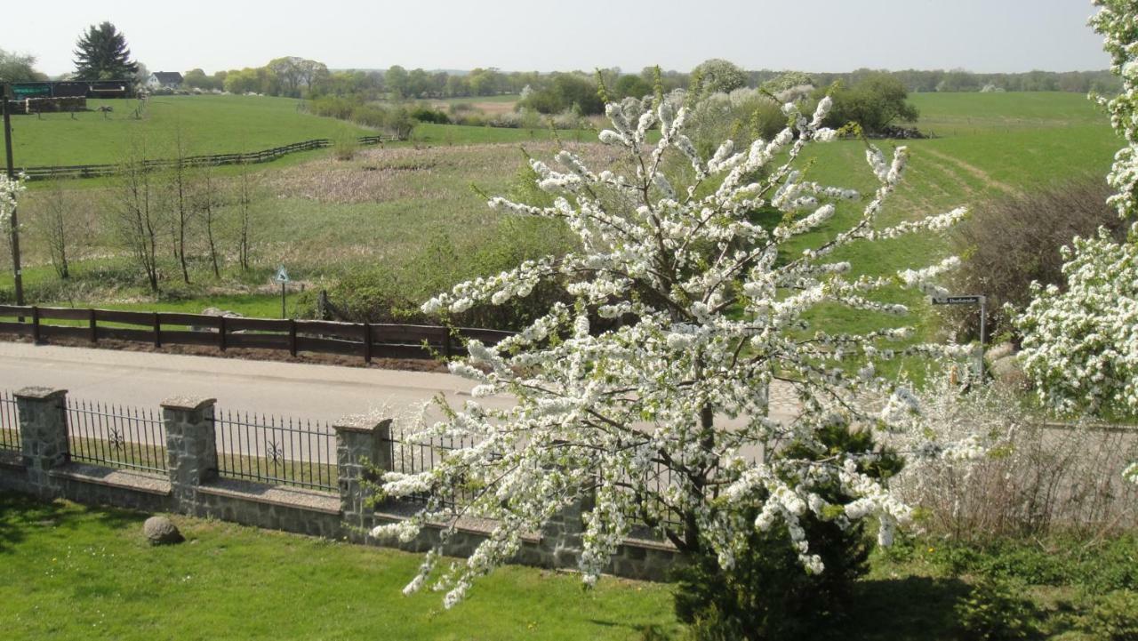 Neugrimnitz Landpension Zum Schweizerberg מראה חיצוני תמונה